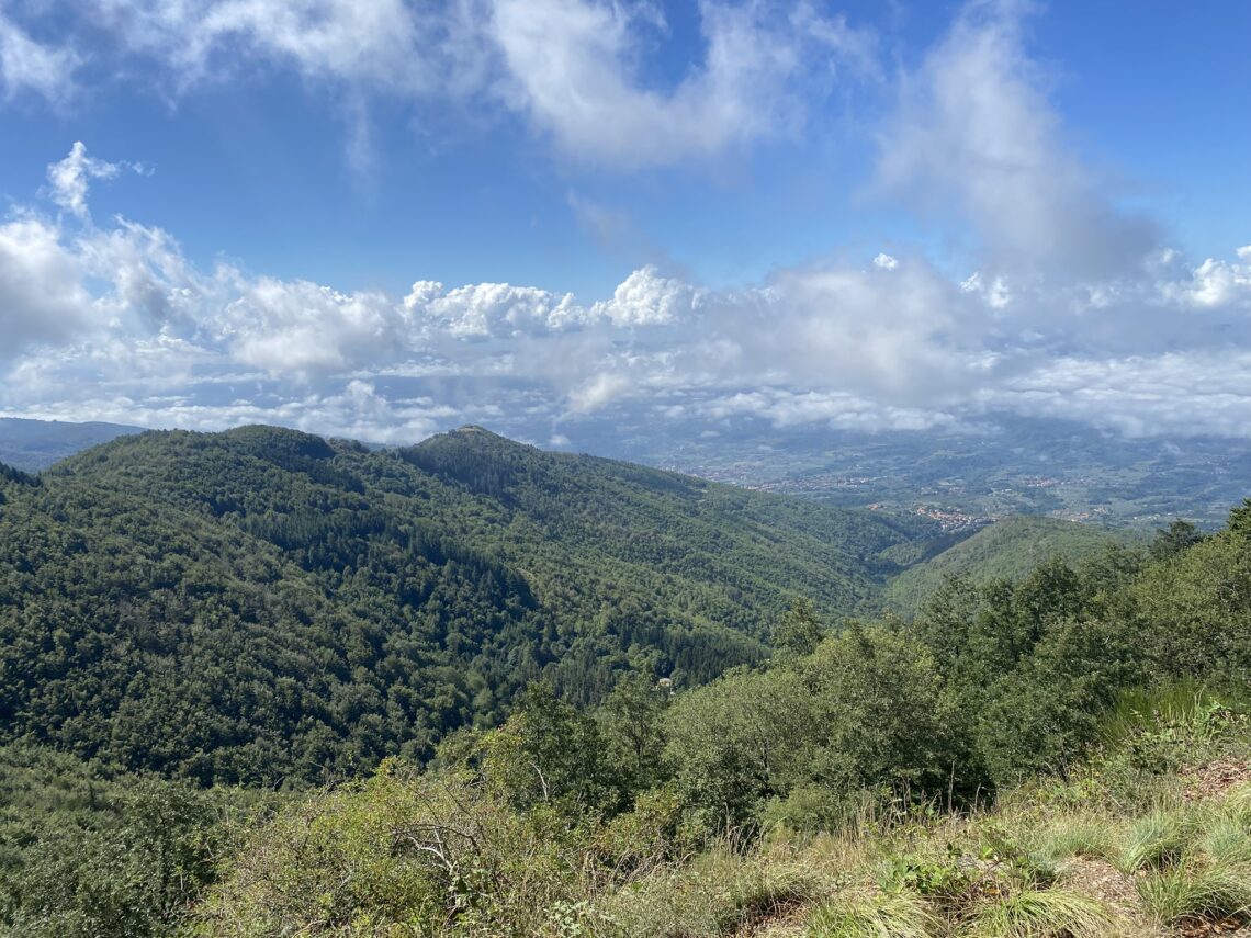 Bocca di lupo