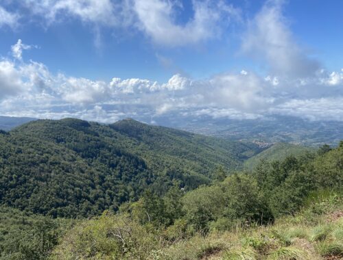 Bocca di lupo