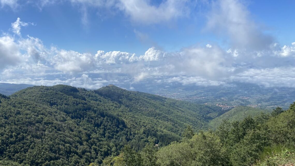 Bocca di lupo